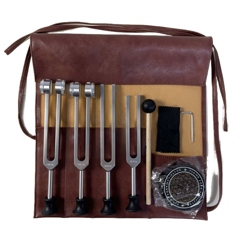 Medical Tuning Fork Set Medita - đánh giá và giá Musical Instrument Kit