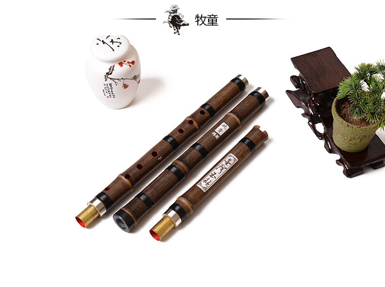 Trung Quốc Tre Flauta Tiểu Gió - đánh giá và giá Musical Instrument Xiao