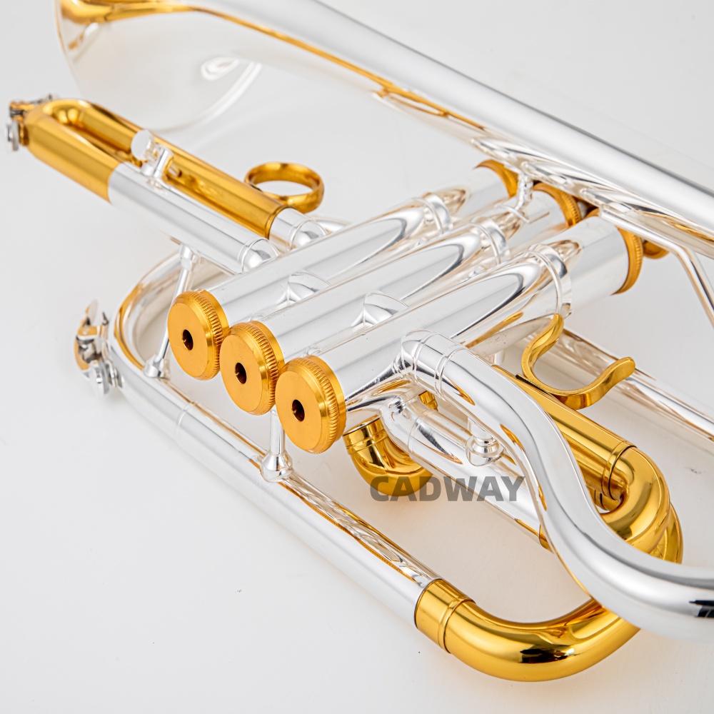 2026 High Grade BACH Silver Go - đánh giá và giá Musical Instrument Cornet