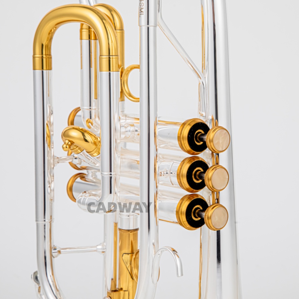 2026 High Grade BACH Silver Go - đánh giá và giá Musical Instrument Cornet