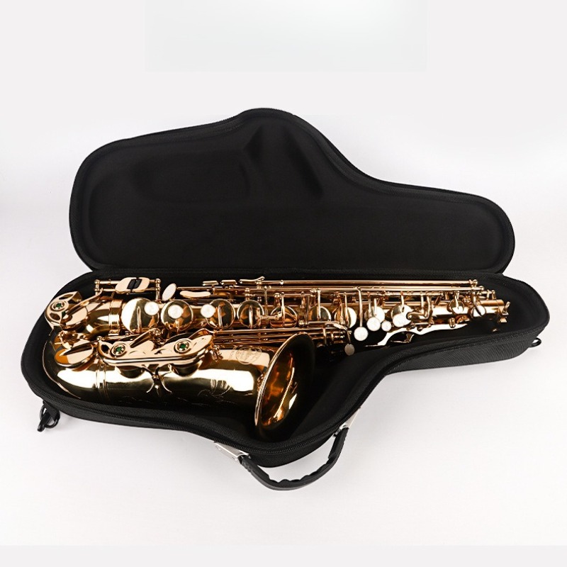 Oxford Cloth Alto Saxophone Ba - đánh giá và giá Musical Instrument Saxophone